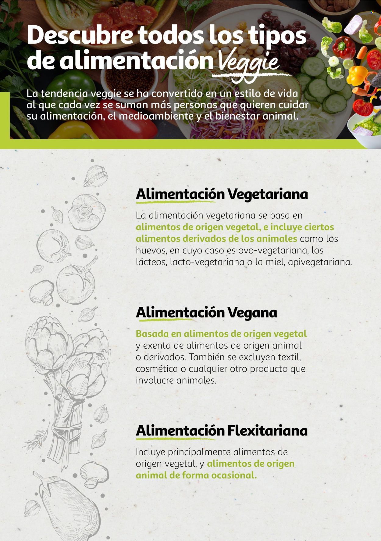 Folleto vigente Alcampo  - 6.8.2024 - 31.12.2025.