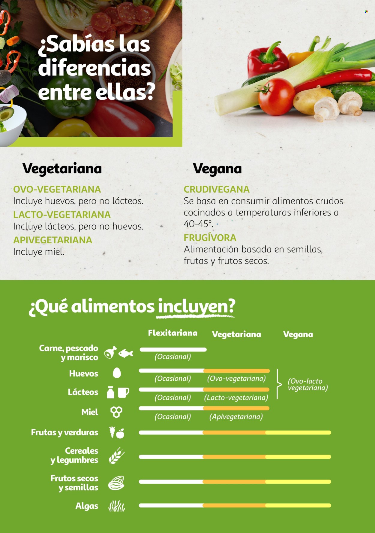 Folleto vigente Alcampo  - 6.8.2024 - 31.12.2025.