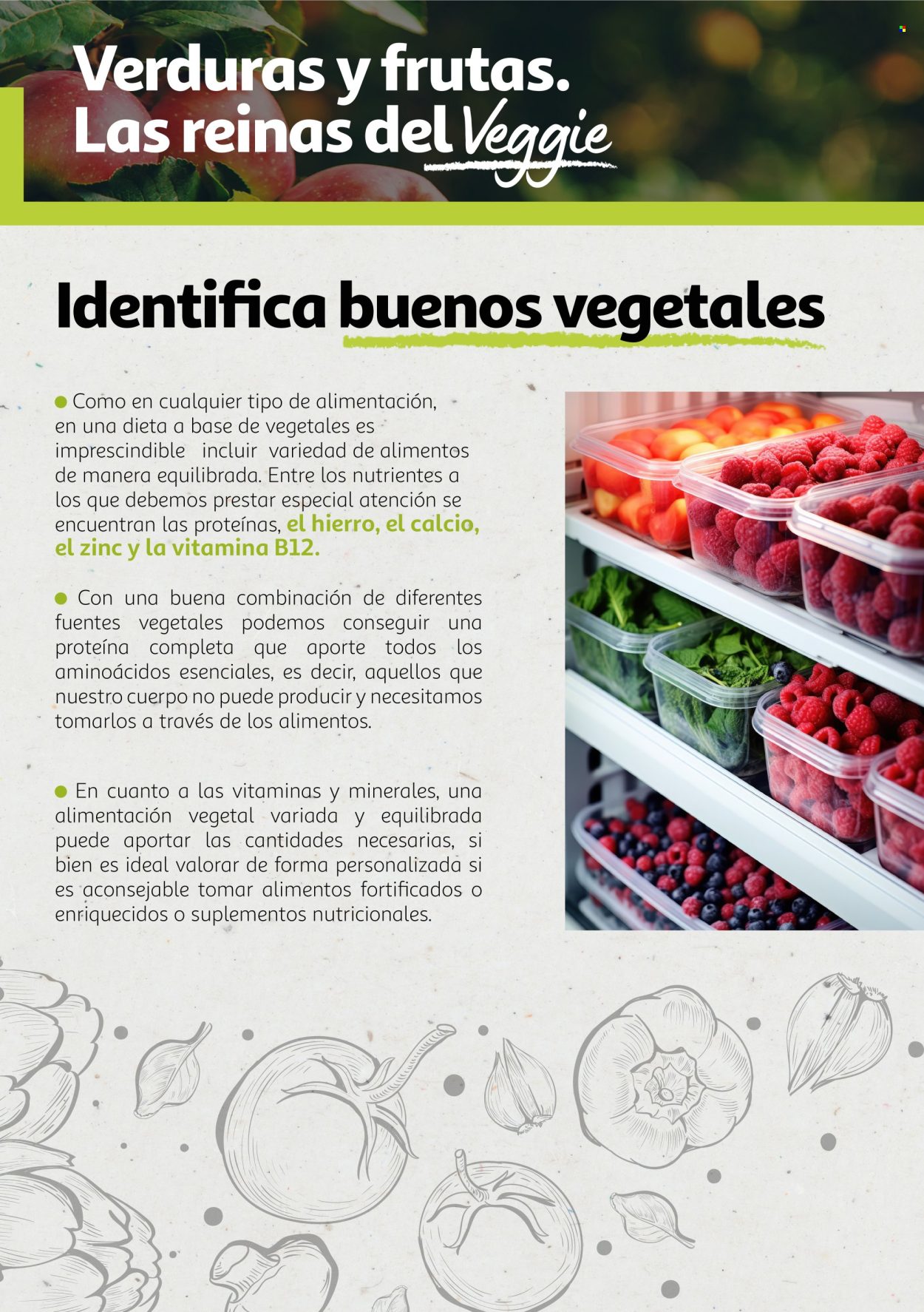 Folleto vigente Alcampo  - 6.8.2024 - 31.12.2025.