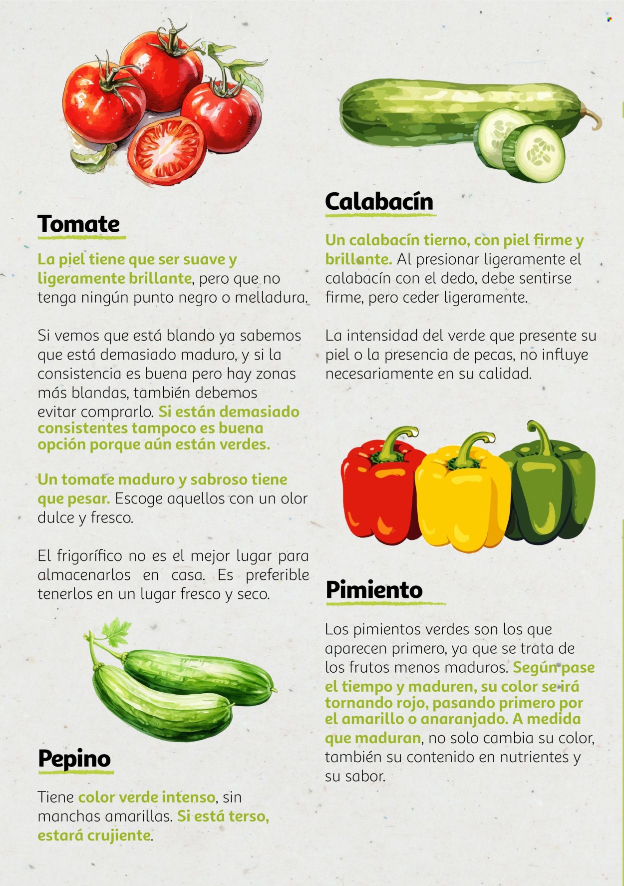 Folleto vigente Alcampo  - 6.8.2024 - 31.12.2025.