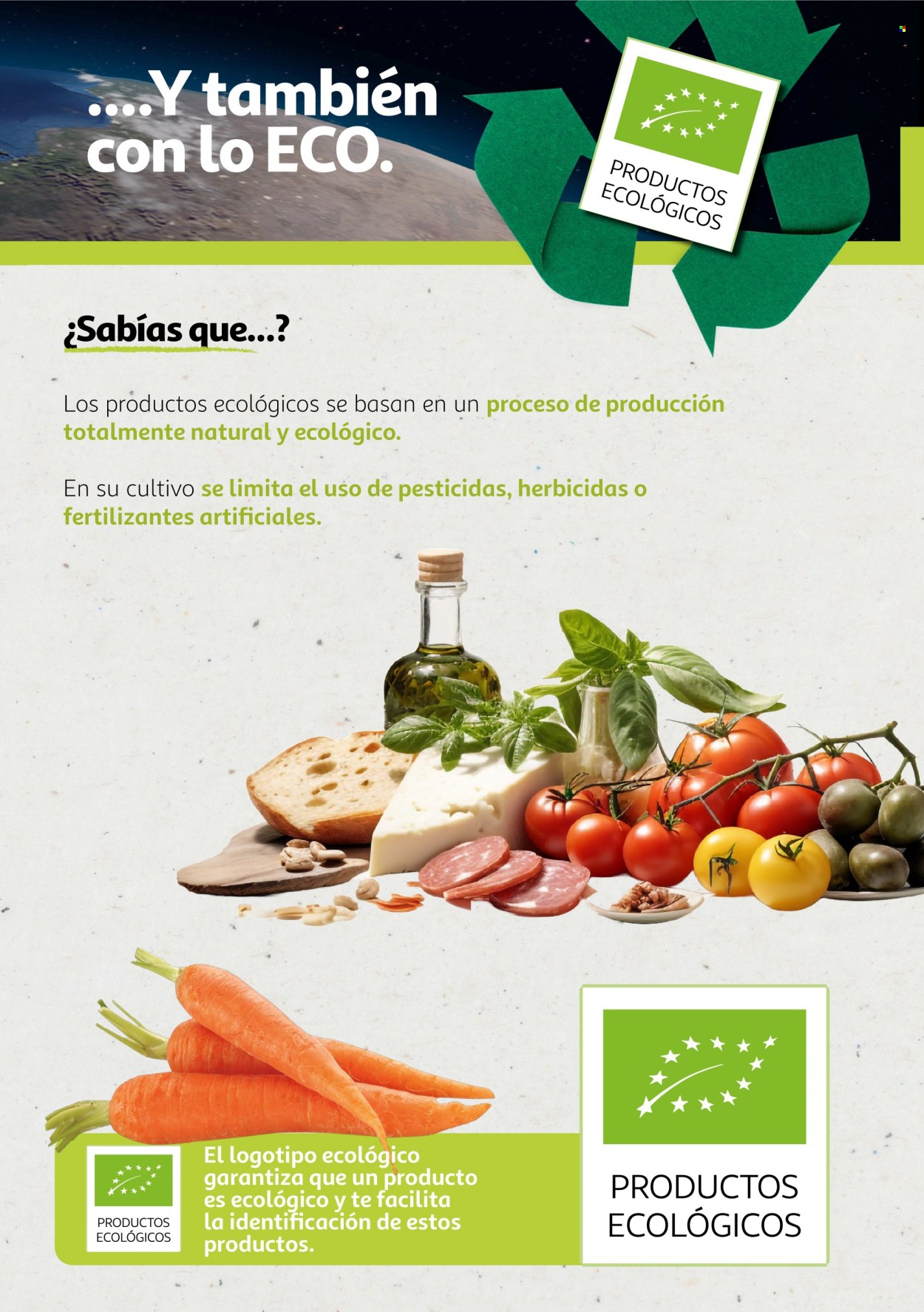 Folleto vigente Alcampo  - 6.8.2024 - 31.12.2025.