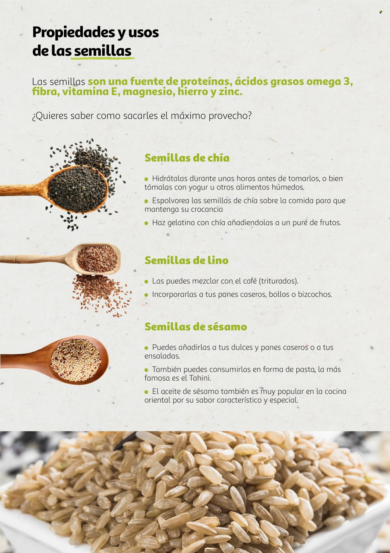 Folleto vigente Alcampo  - 6.8.2024 - 31.12.2025.
