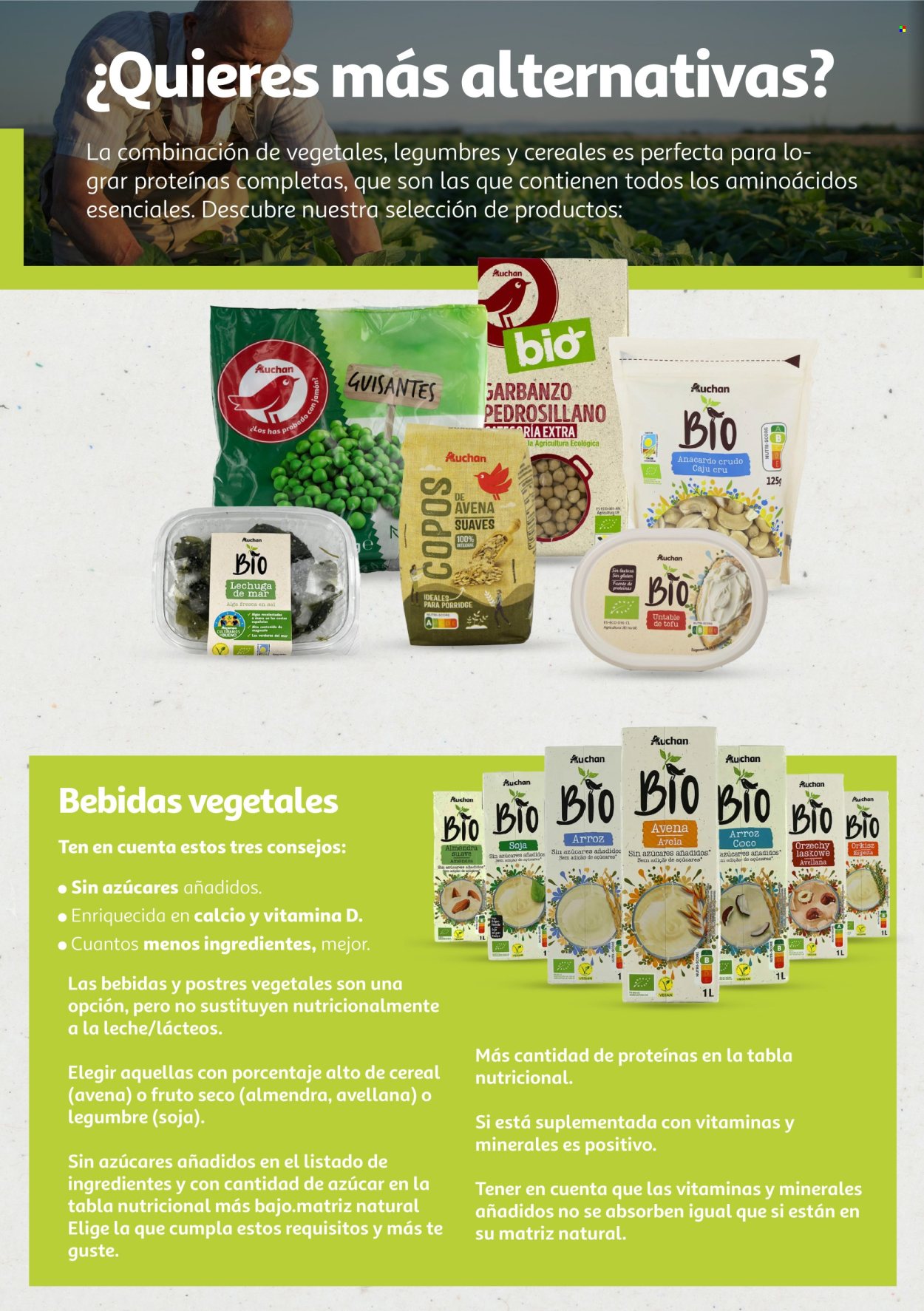 Folleto vigente Alcampo  - 6.8.2024 - 31.12.2025.