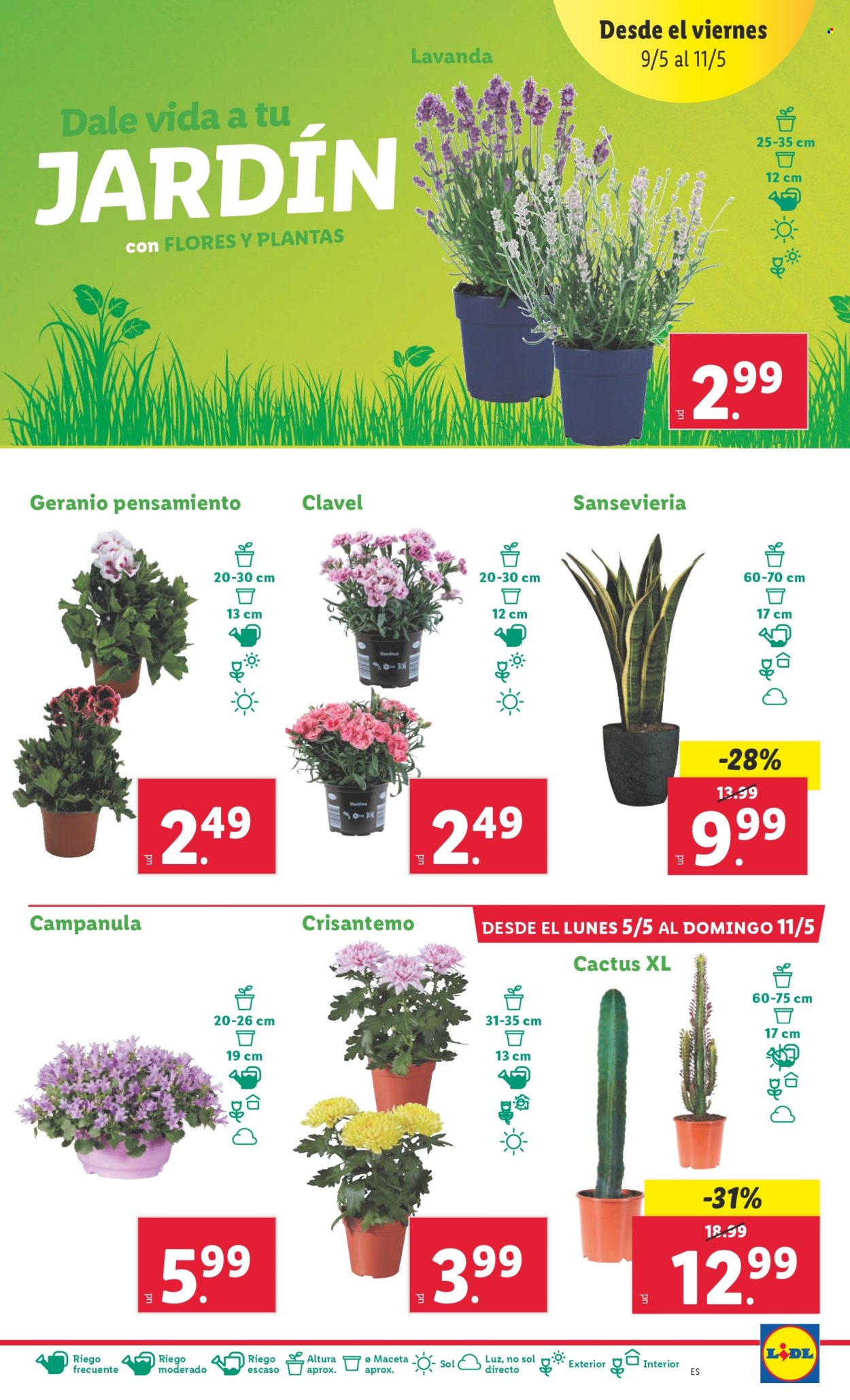 Folleto vigente Lidl  - 5.5.2025 - 11.5.2025.