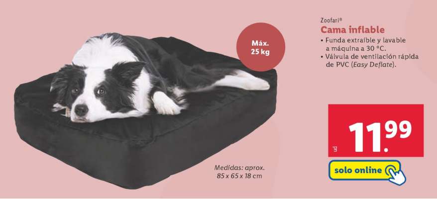 Cama inflable