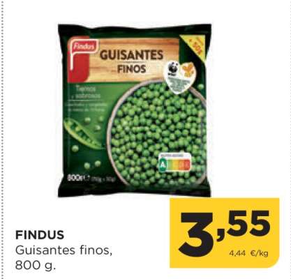 FINDUS