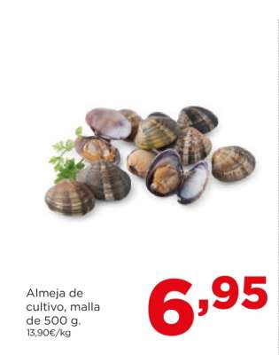Almeja de cultivo, malla de 500 g.