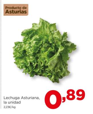 Lechuga Asturiana, la unidad