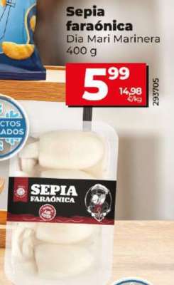 Sepia faraónica