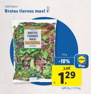 Brotes tiernos maxi