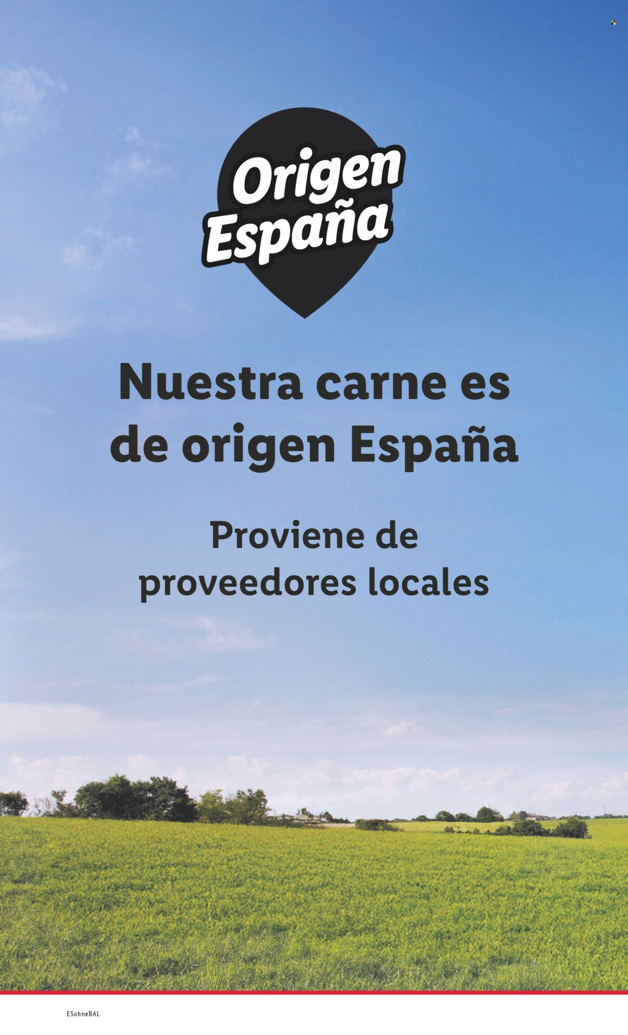 Folleto vigente Lidl  - 19.5.2025 - 25.5.2025.